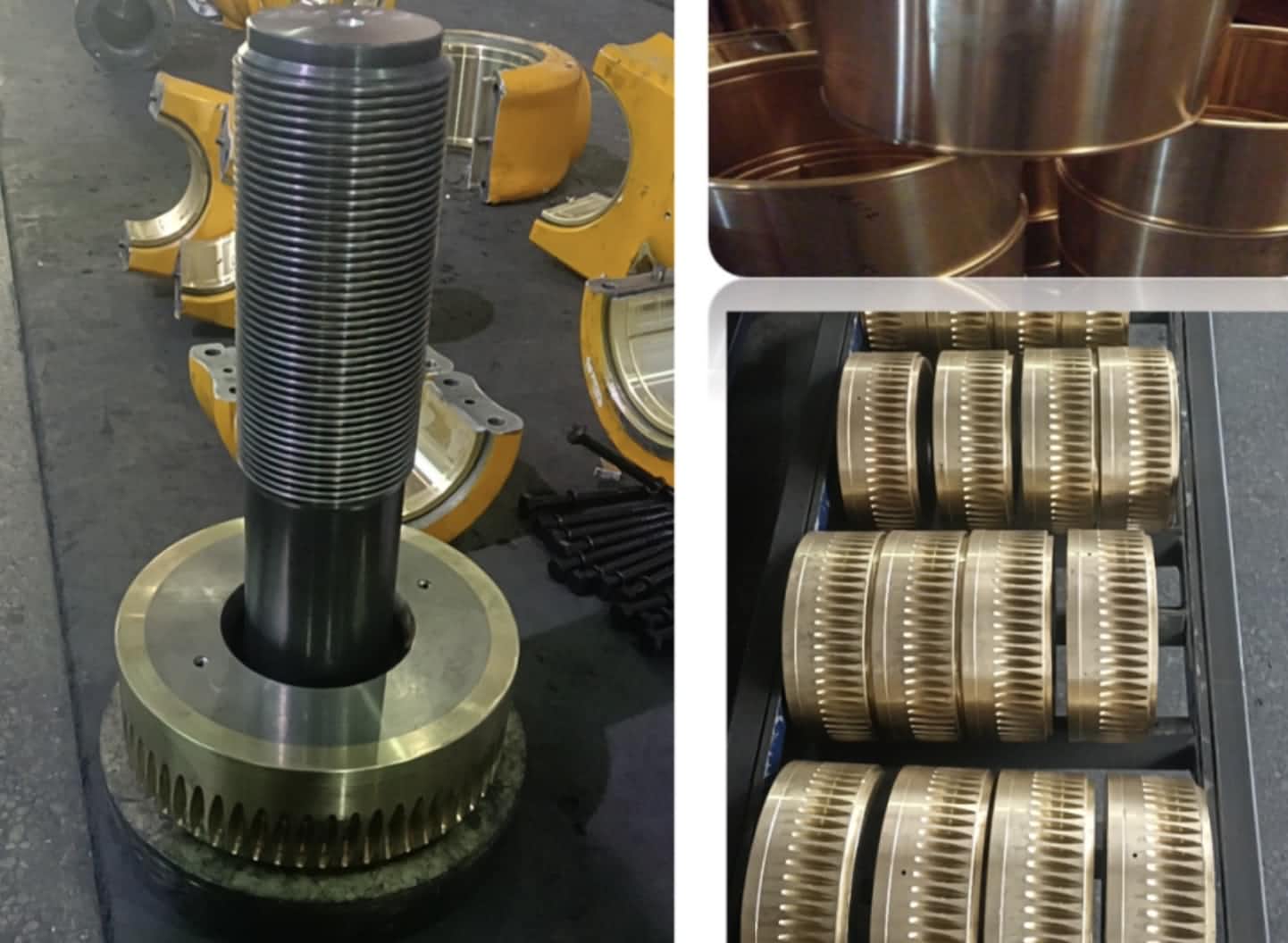 bronze worm gears